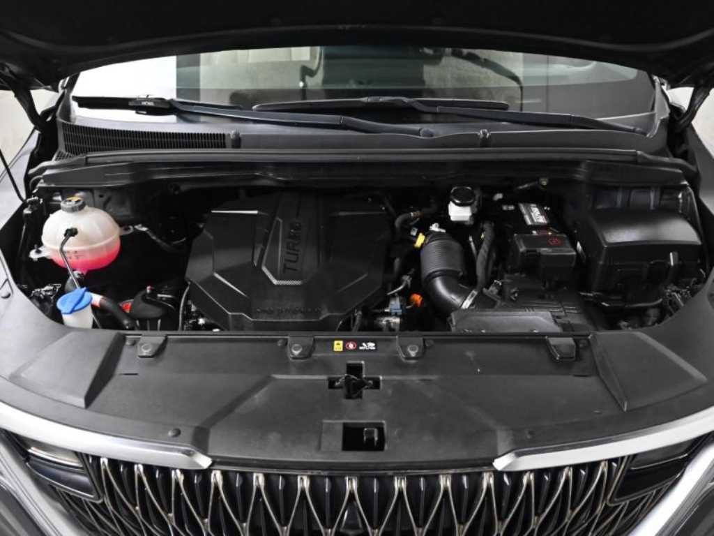 KIA Carnival - Vista 6