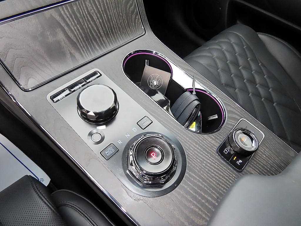 Genesis GV80 - Vista 11