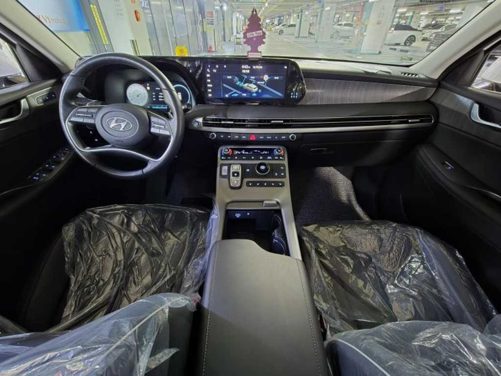HYUNDAI Palisade - Vista 10