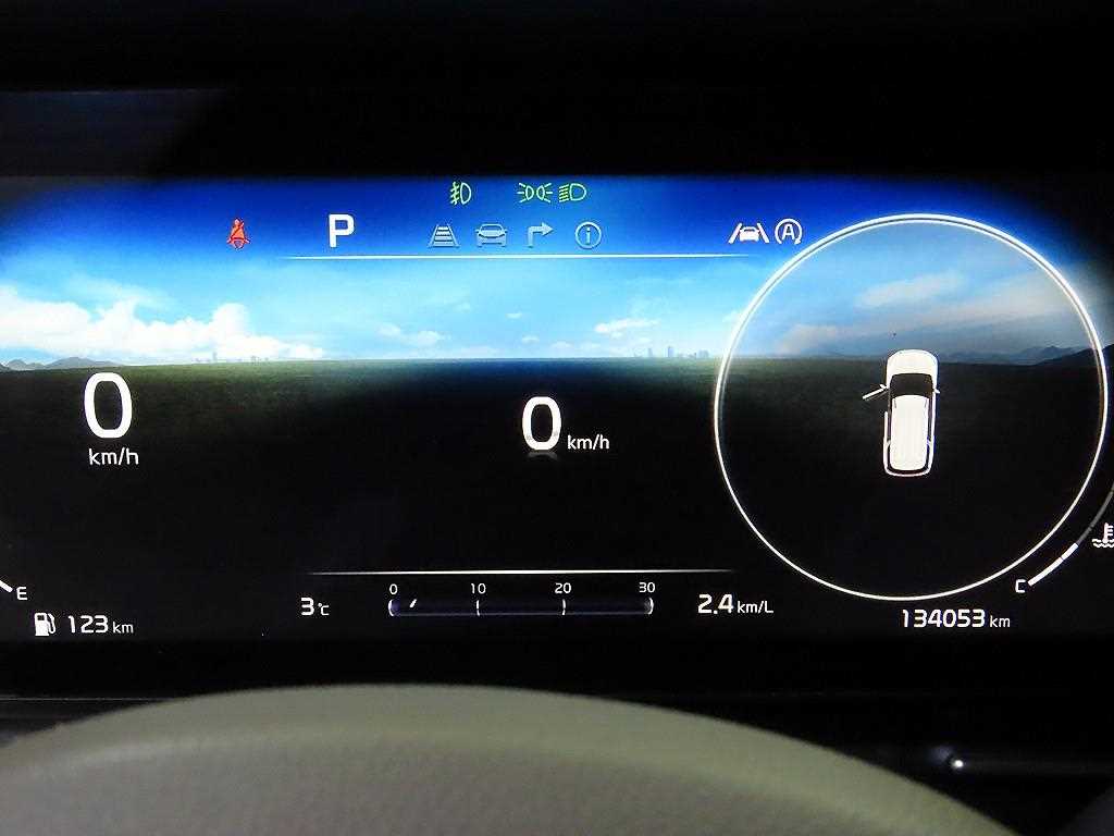 KIA Carnival - Vista 9