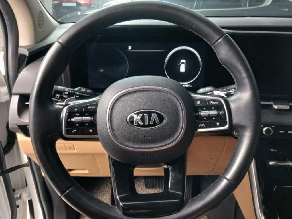 KIA Carnival - Vista 11