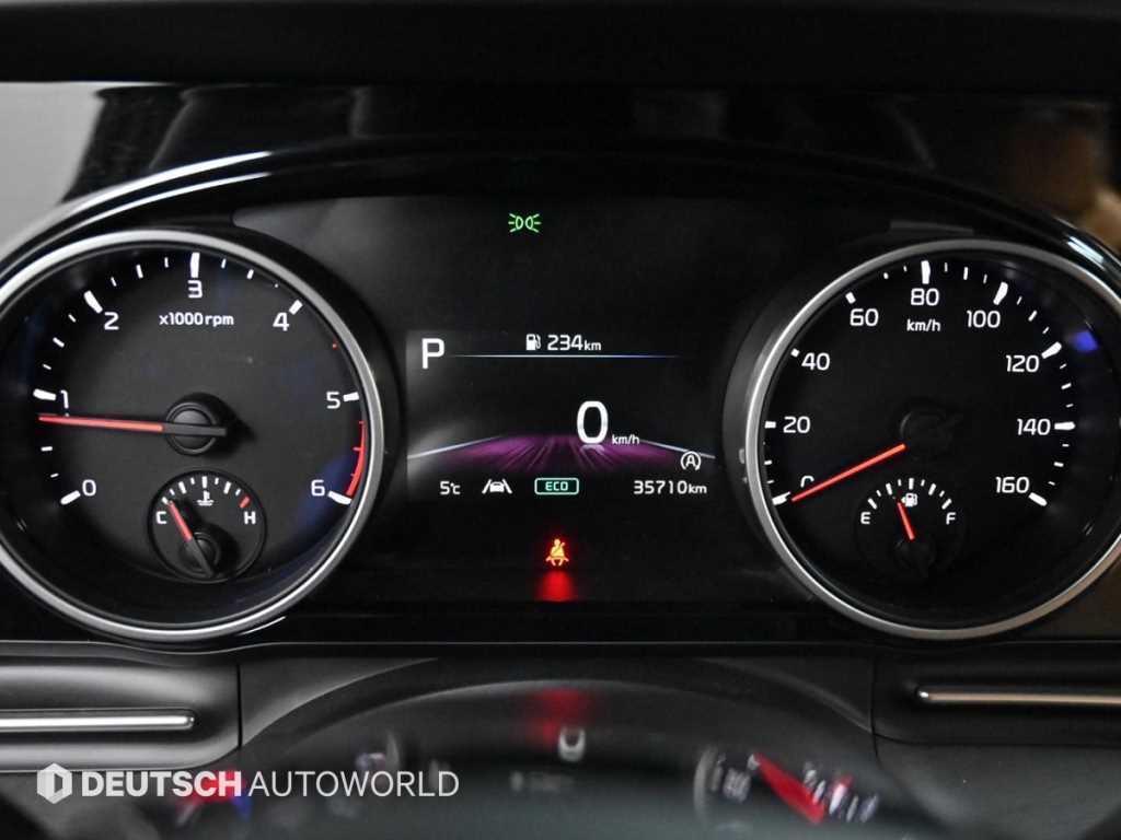 KIA Carnival - Vista 8