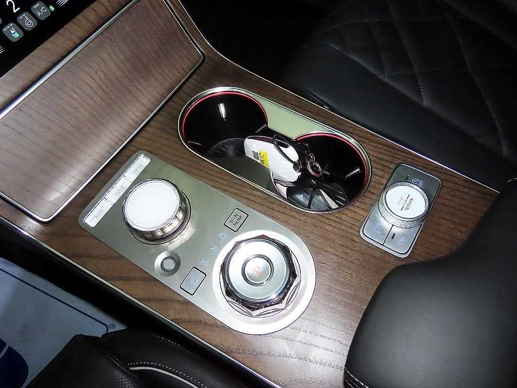 Genesis GV80 - Vista 12