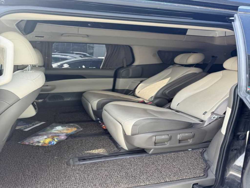 KIA Carnival - Vista 8