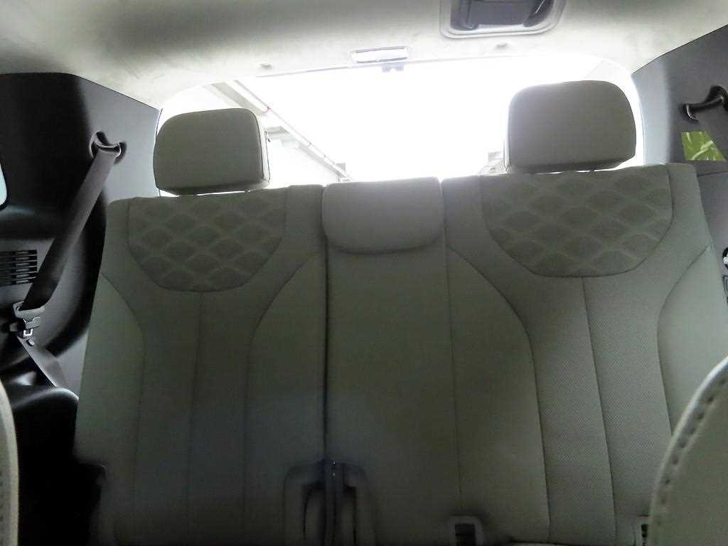 HYUNDAI Palisade - Vista 12