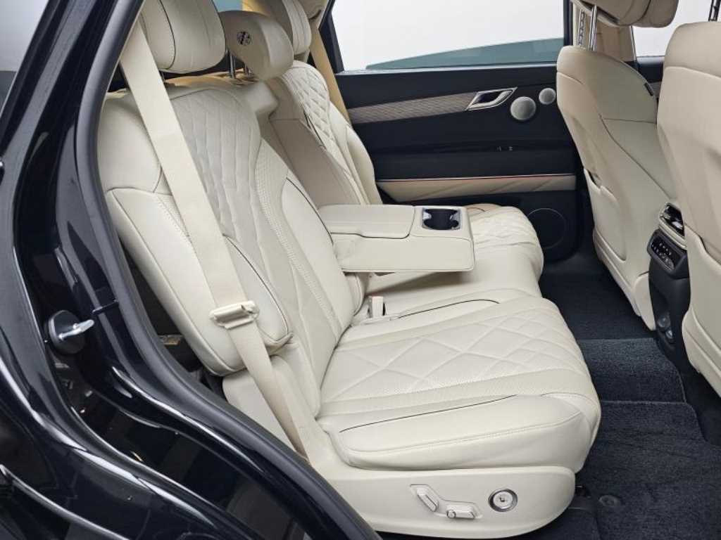 Genesis GV80 - Vista 12