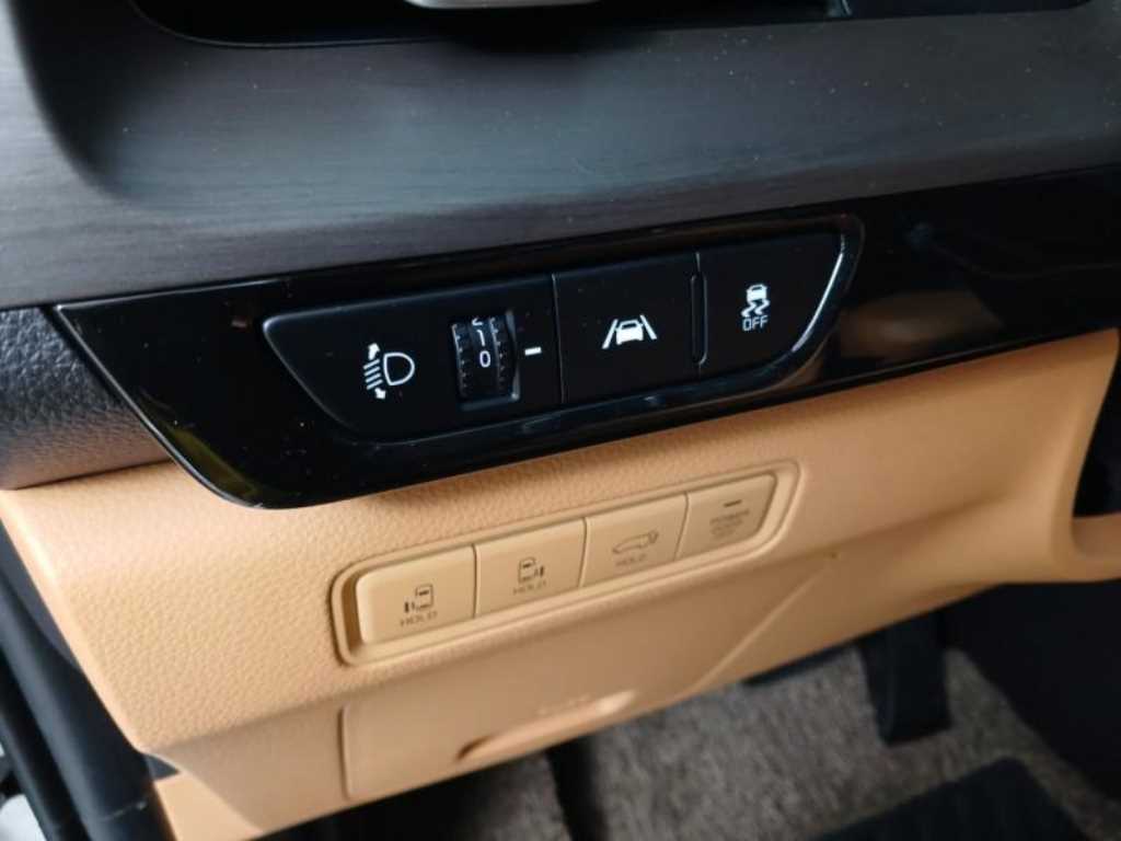 KIA Carnival - Vista 10