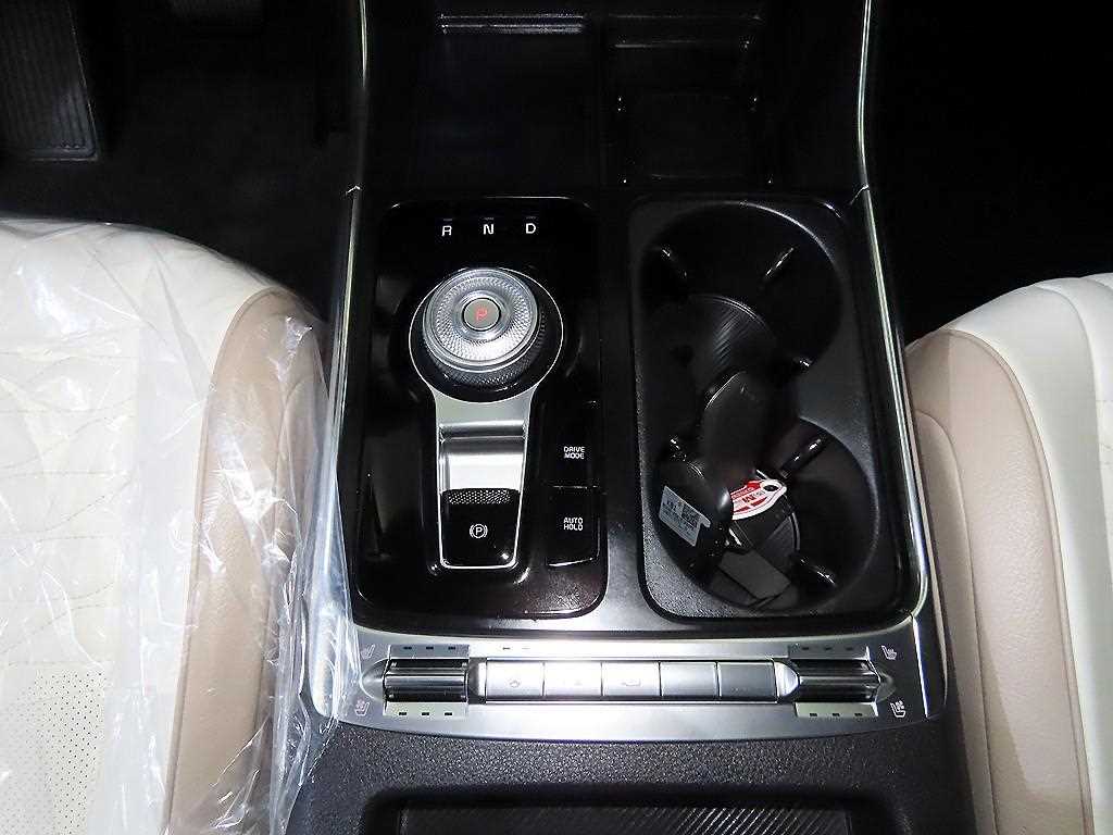 KIA Carnival - Vista 12