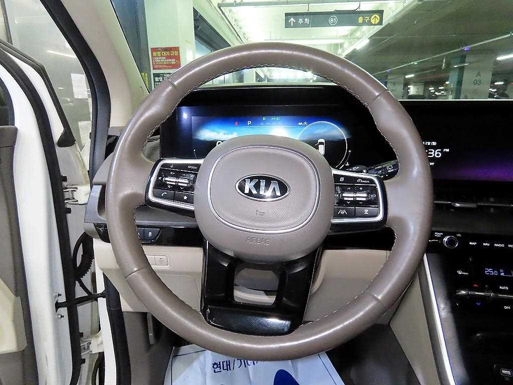 KIA Carnival - Vista 8