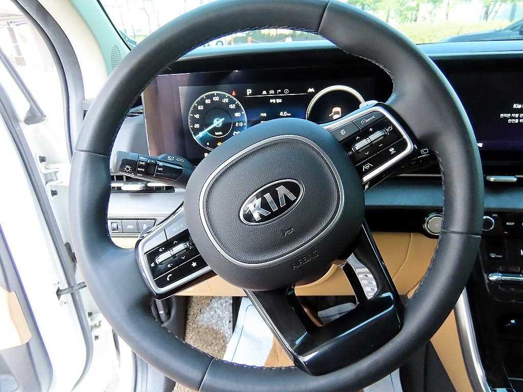 KIA Carnival - Vista 8