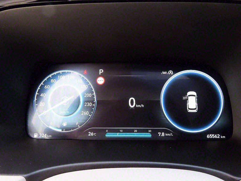 HYUNDAI Palisade - Vista 9