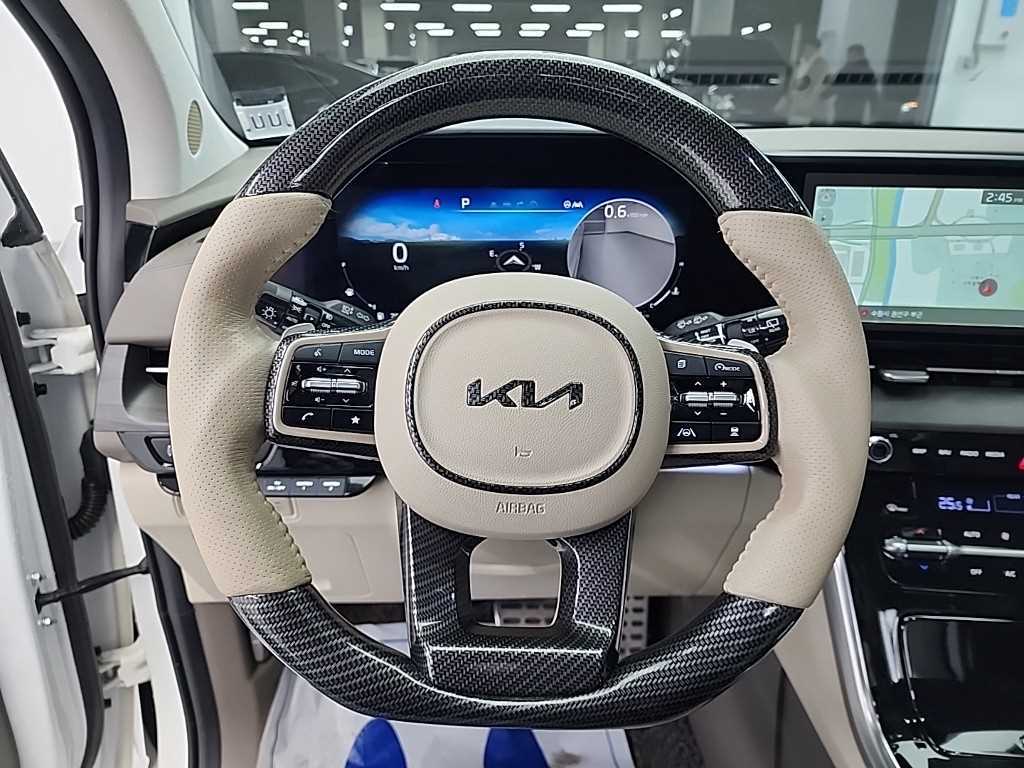 KIA Carnival - Vista 9