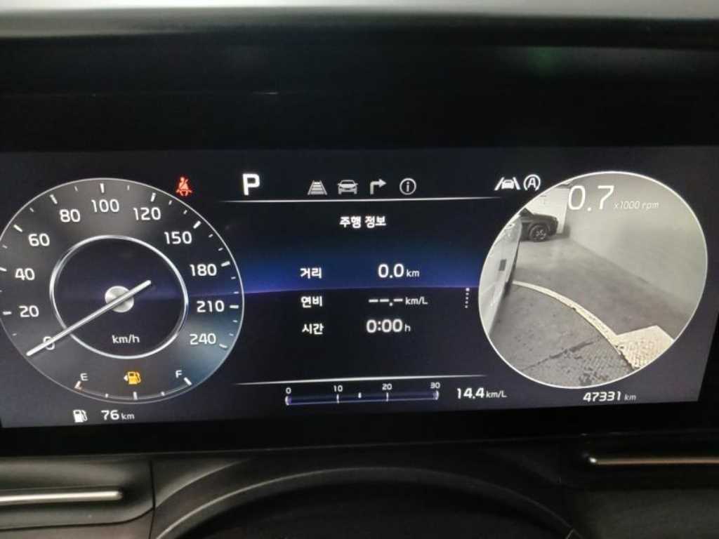 KIA Carnival - Vista 12