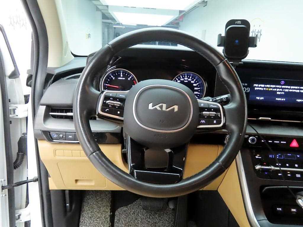 KIA Carnival - Vista 7