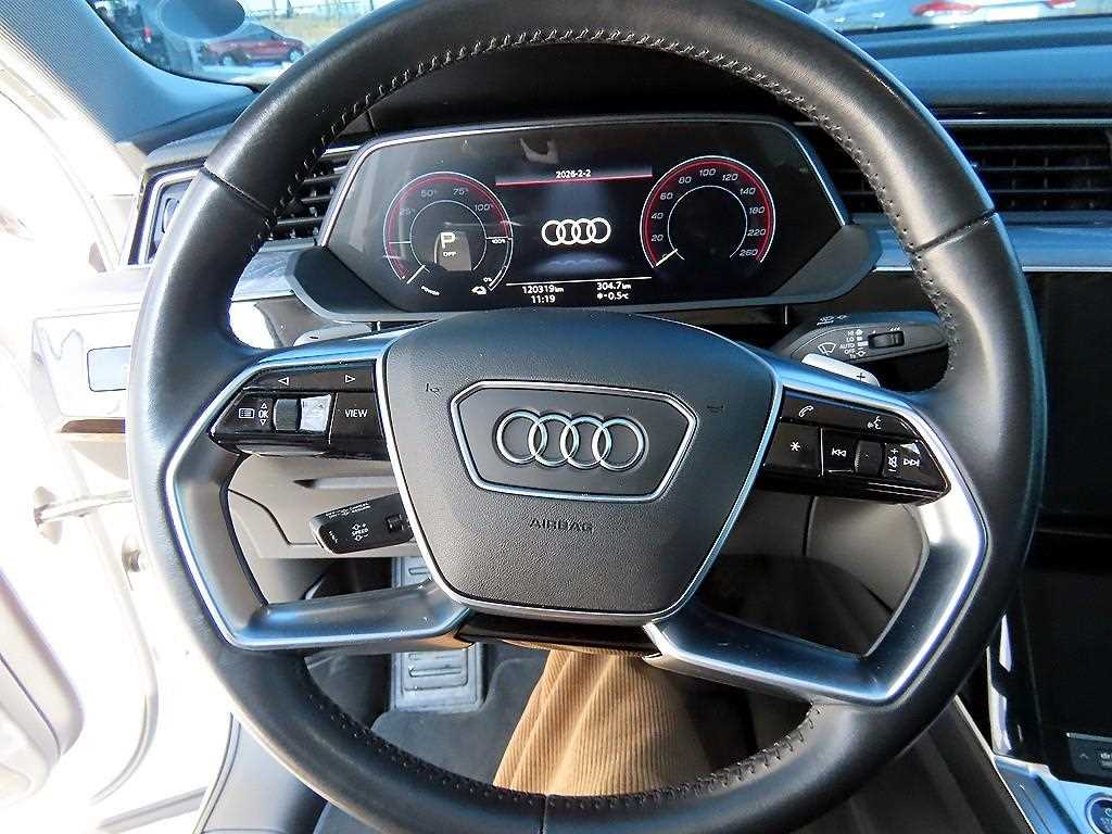 Audi e-Tron - Vista 8