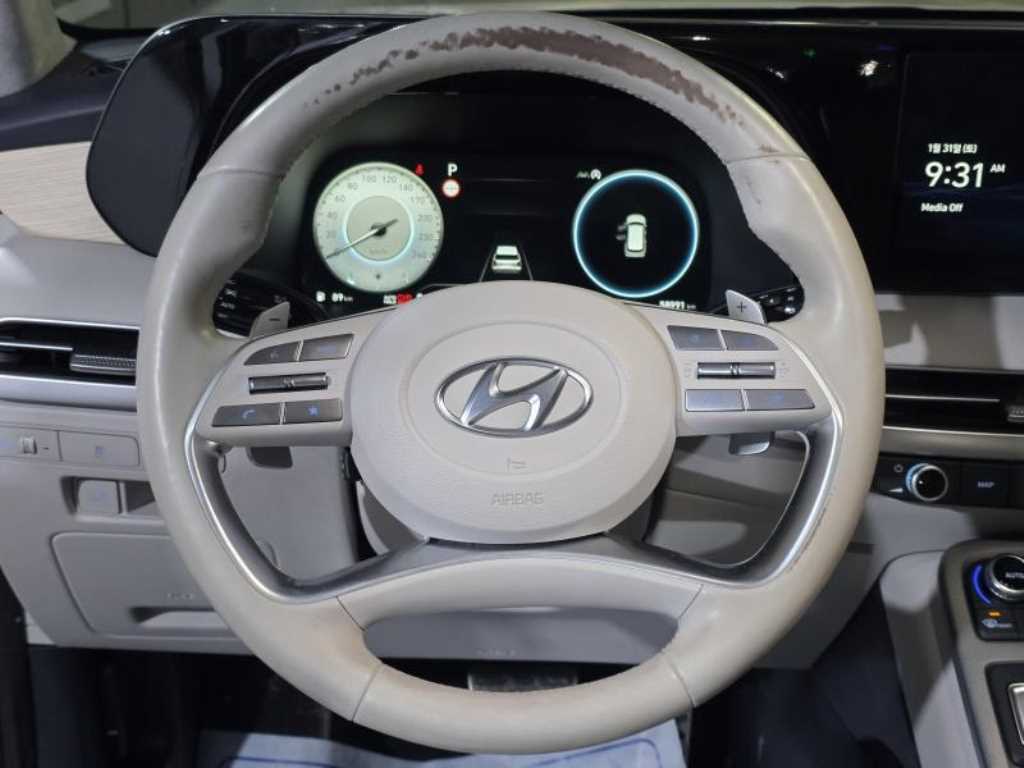 HYUNDAI Palisade - Vista 12