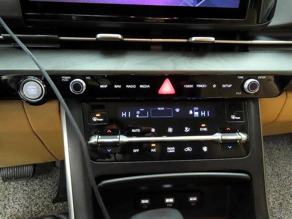 KIA Carnival - Vista 9