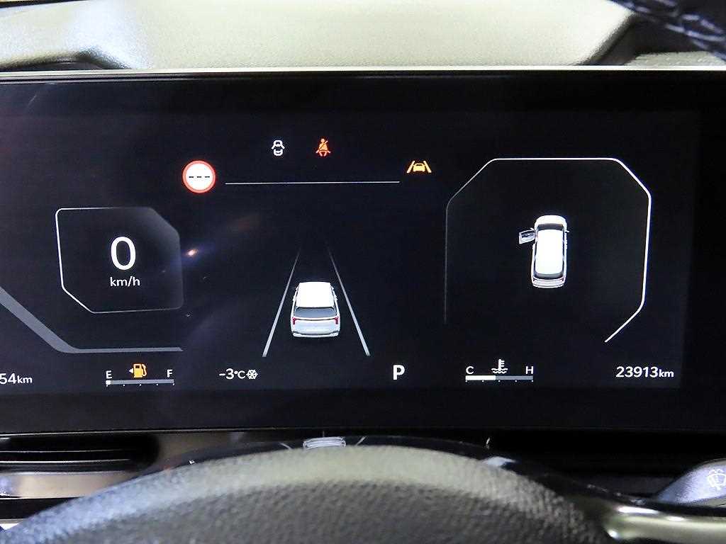 KIA Carnival - Vista 9