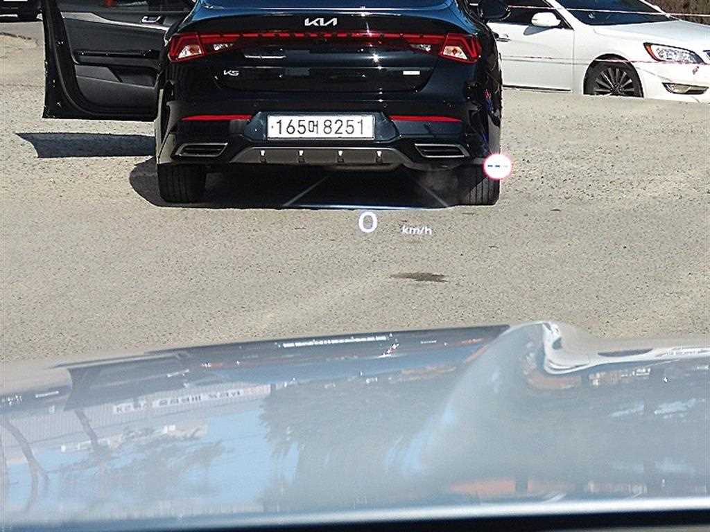 Genesis GV80 - Vista 10