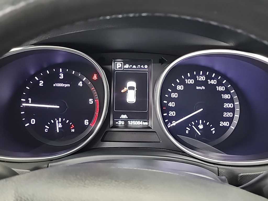 HYUNDAI Maxcruz - Vista 6