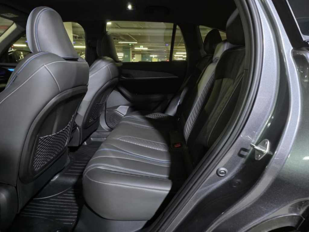 SAMSUNG Grand Koleos - Vista 9