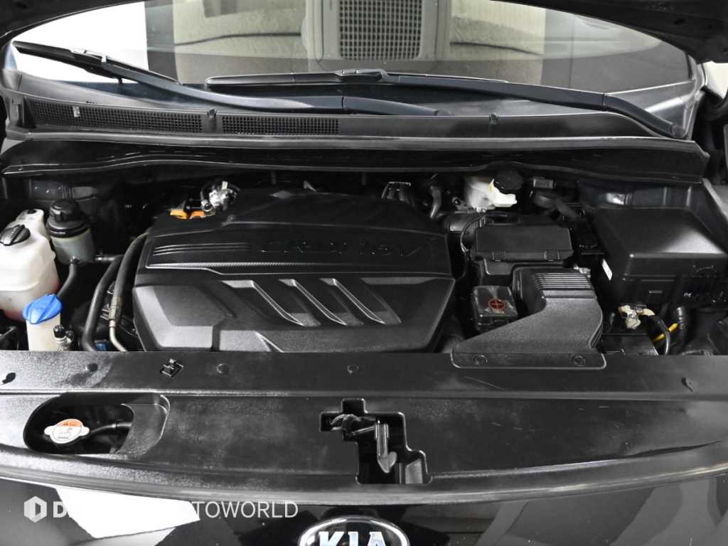 KIA Carnival - Vista 6