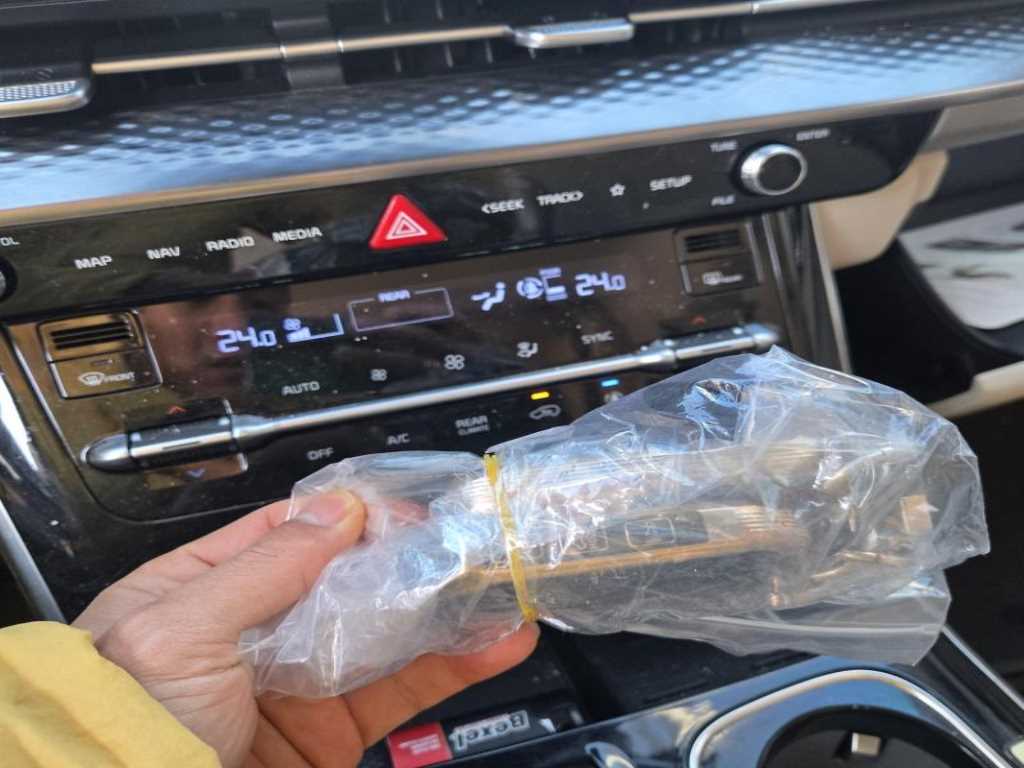 KIA Carnival - Vista 4