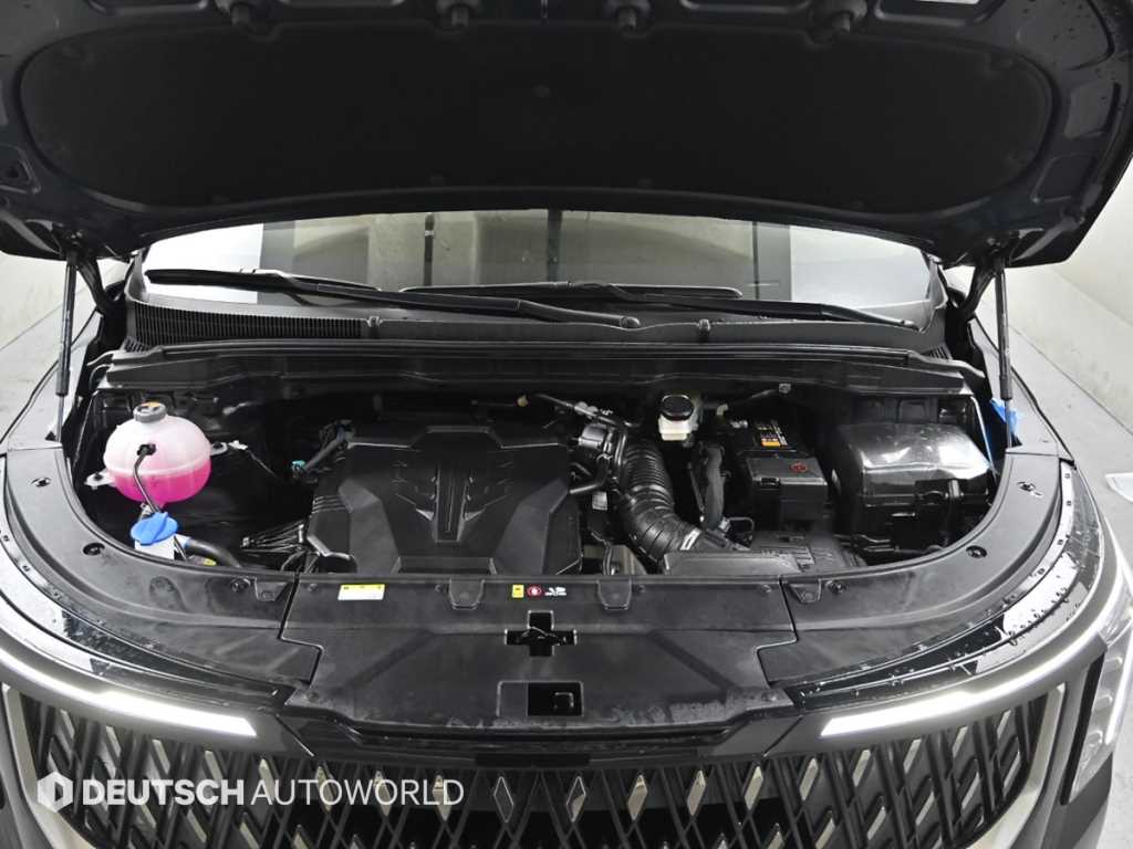 KIA Carnival - Vista 6