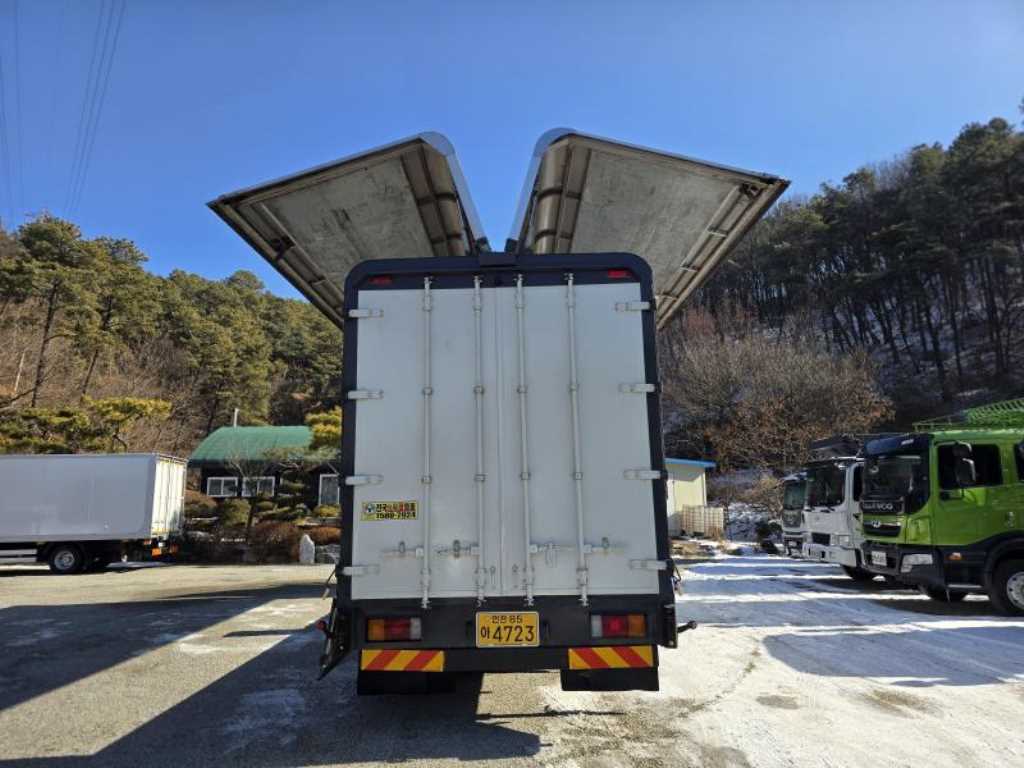 medium and large cargo truck - Vista 8