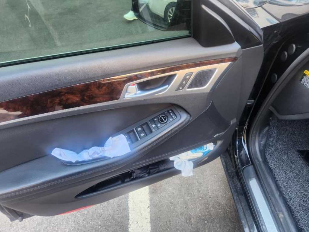 HYUNDAI Genesis - Vista 4