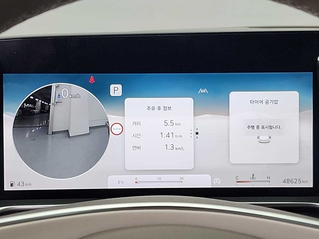 Genesis G90 - Vista 6