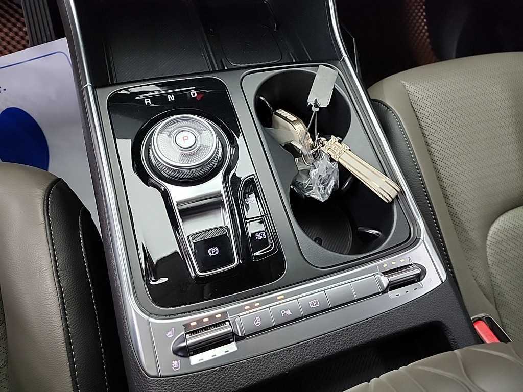 KIA Carnival - Vista 8