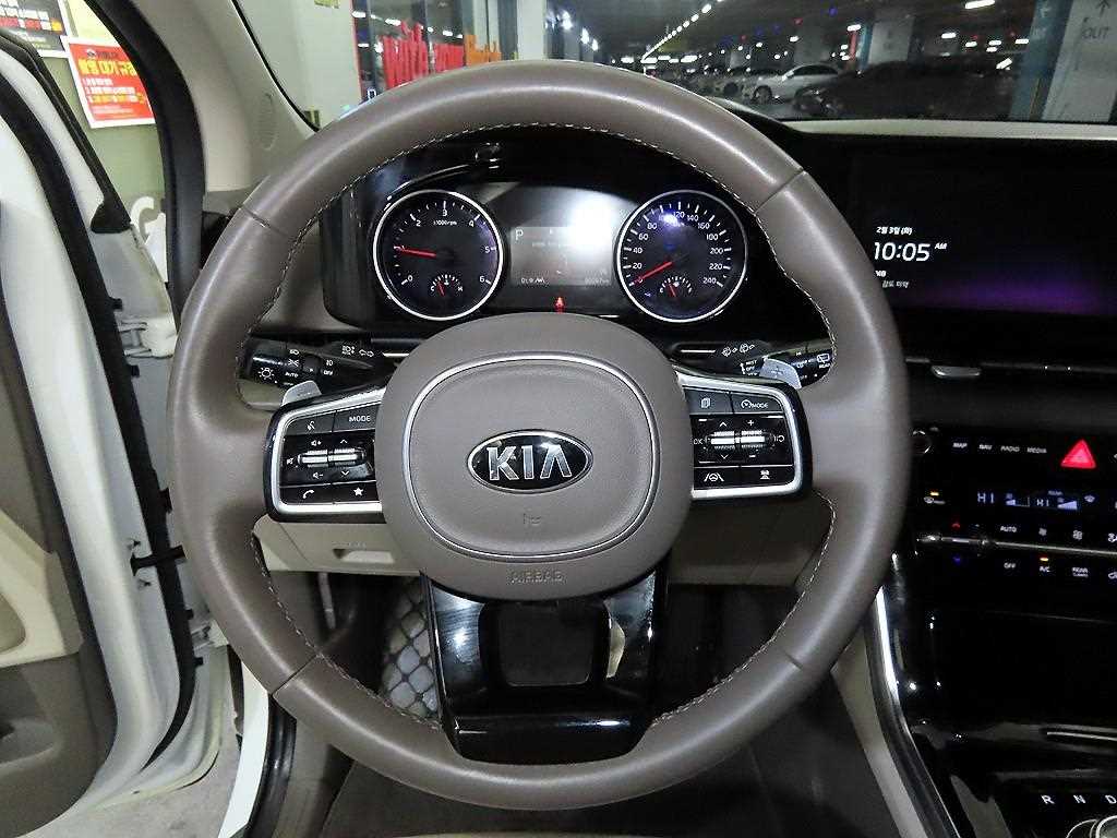 KIA Carnival - Vista 8