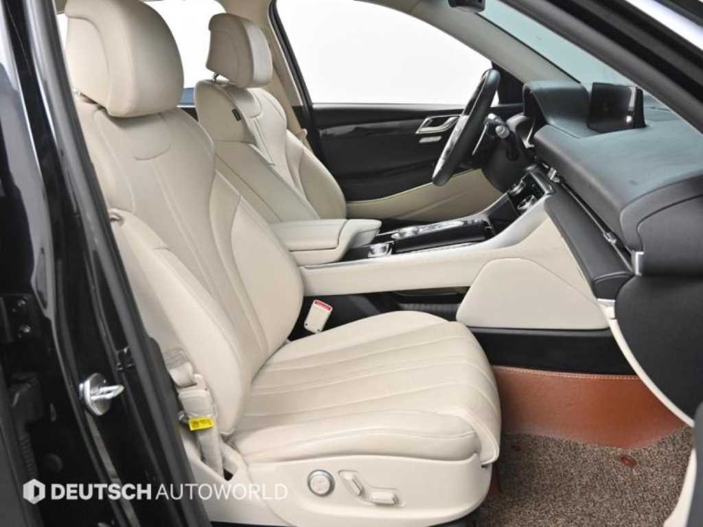 Genesis GV80 - Vista 10