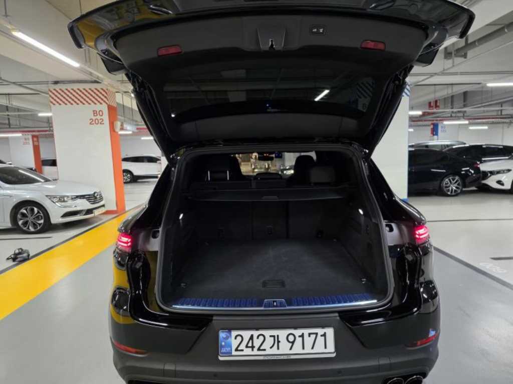 Porsche Cayenne - Vista 9