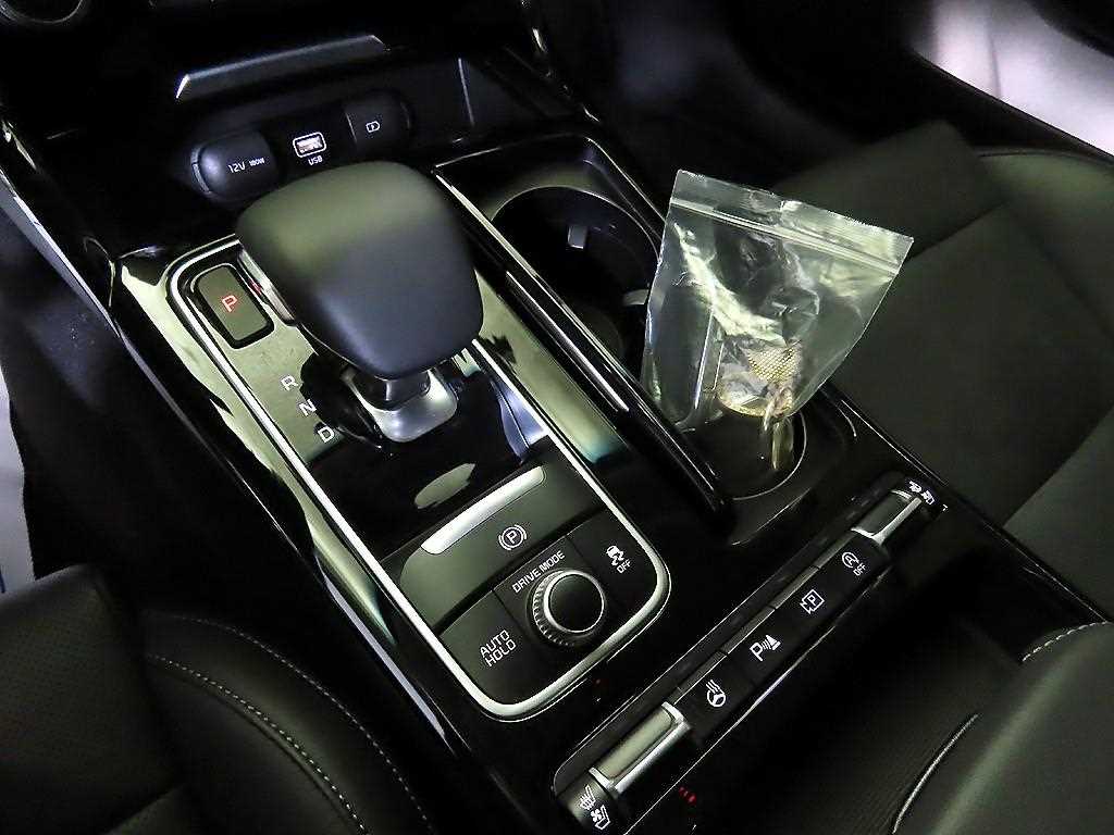 KIA Stinger - Vista 12