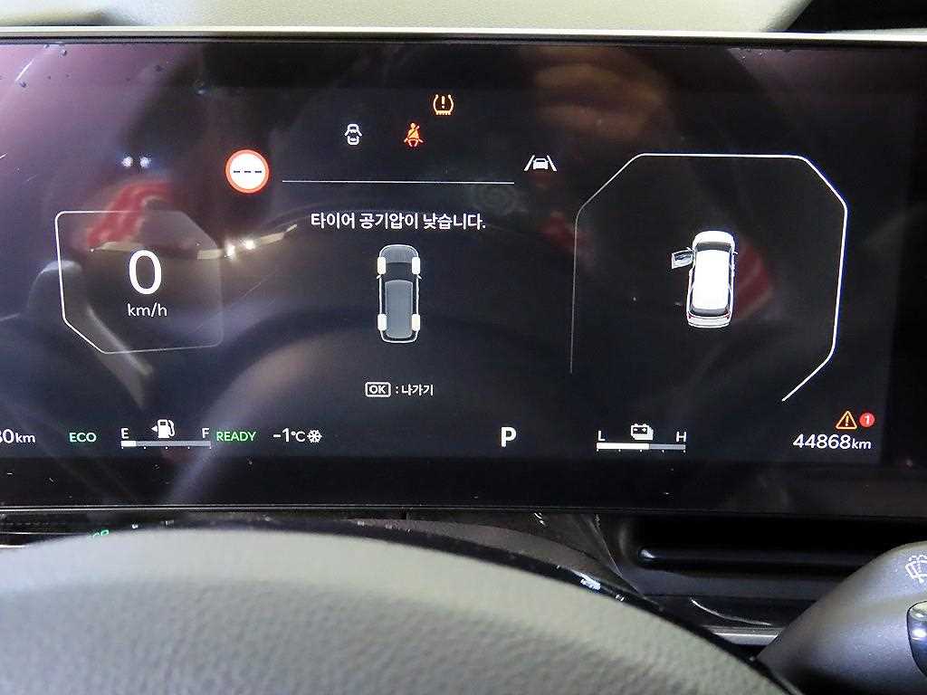 KIA Carnival - Vista 9