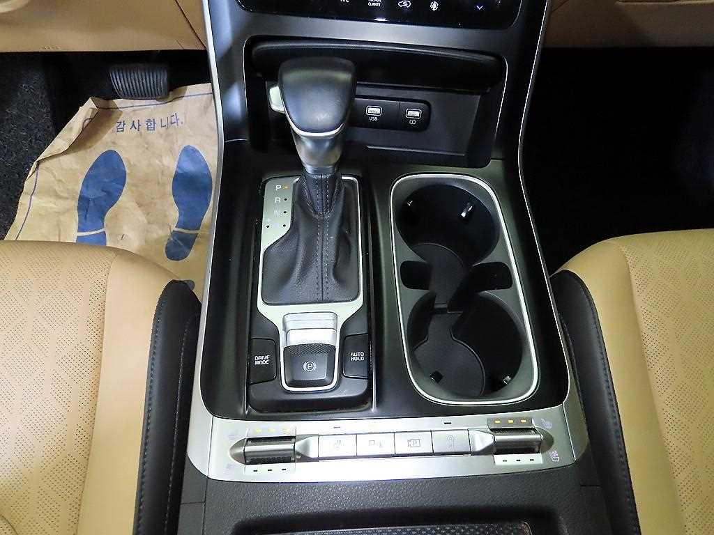 KIA Carnival - Vista 12