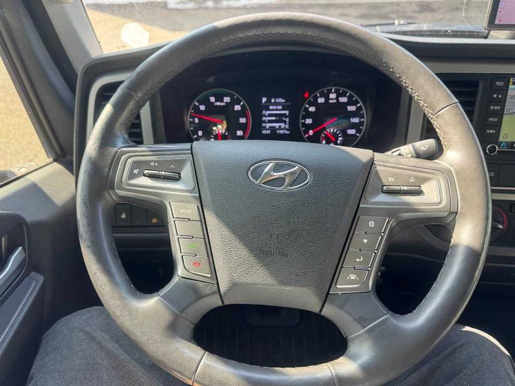 medium and large cargo truck - Vista 11