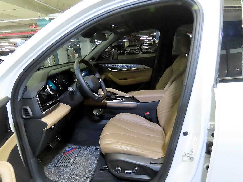 SAMSUNG Grand Koleos - Vista 6