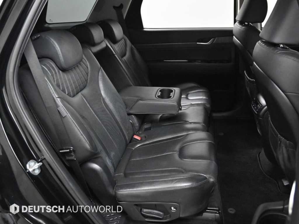 HYUNDAI Palisade - Vista 12