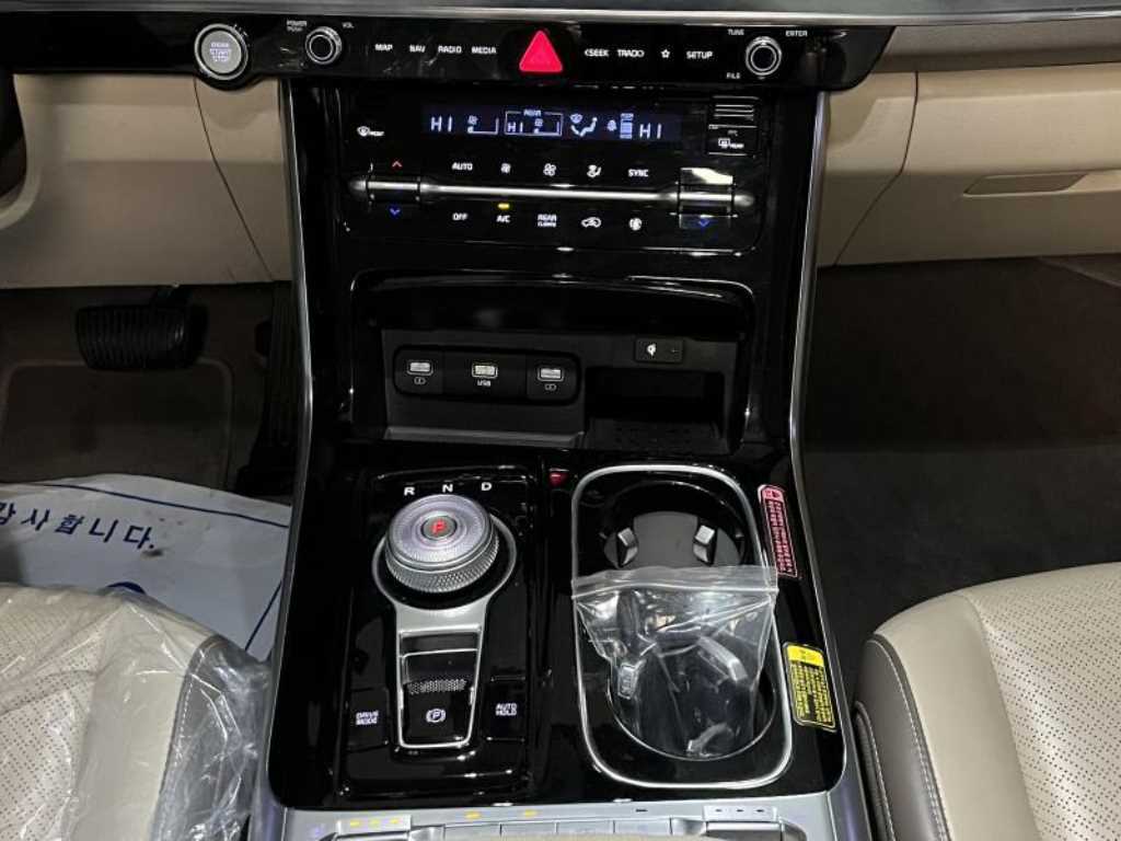 KIA Carnival - Vista 8