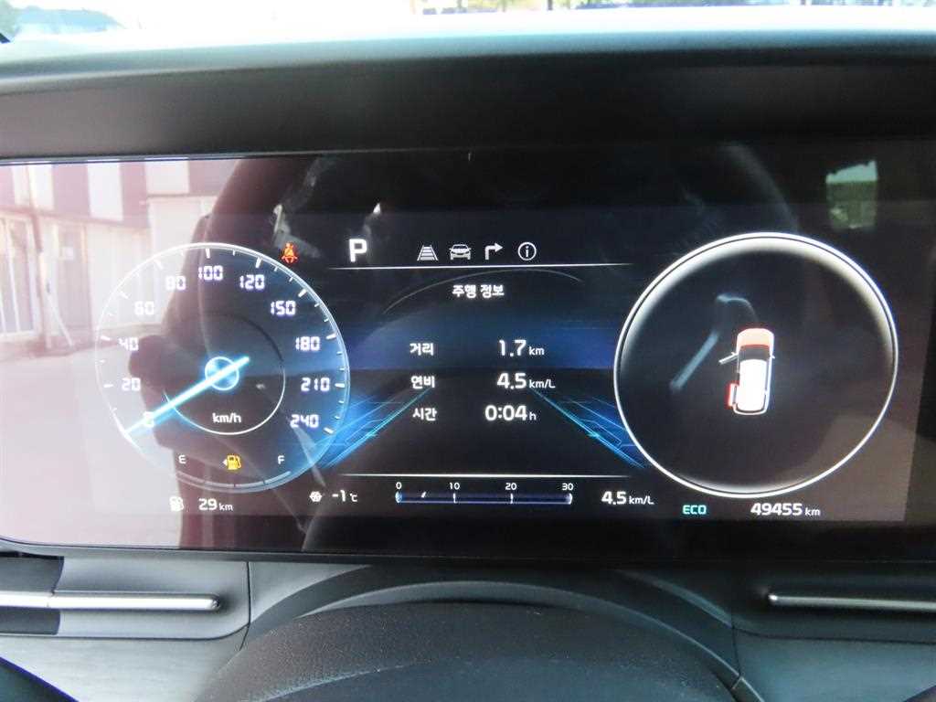 KIA Carnival - Vista 9