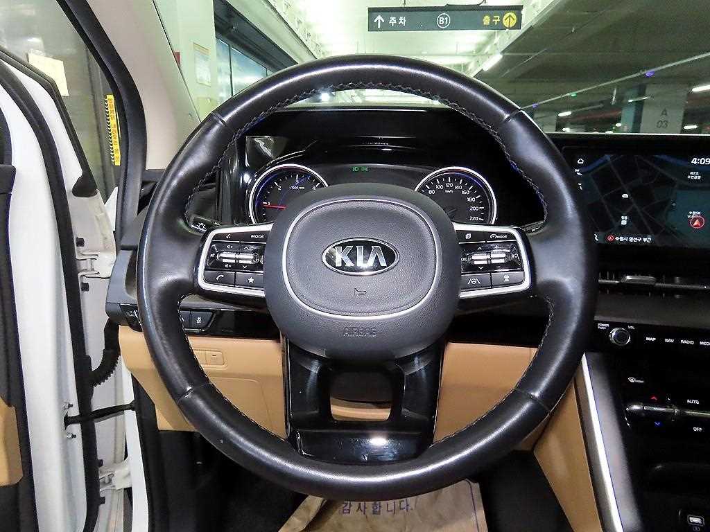 KIA Carnival - Vista 8