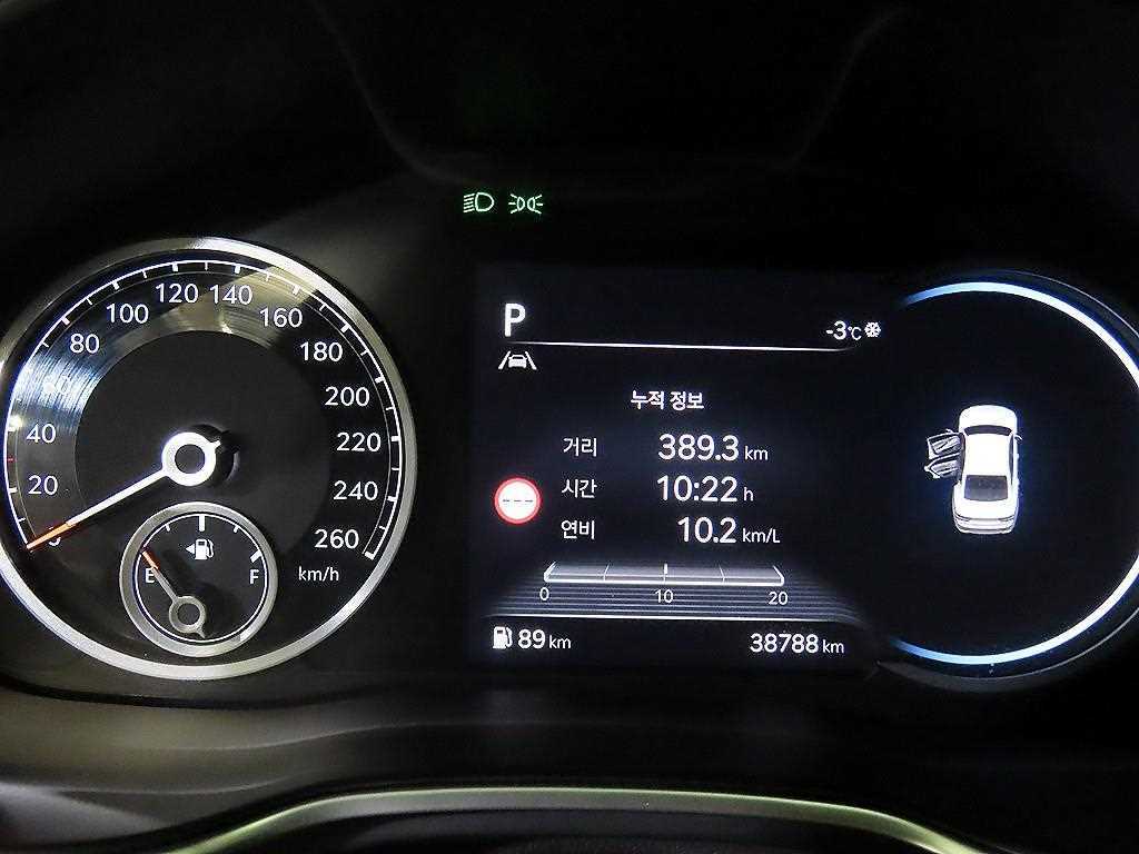 Genesis G80 - Vista 9