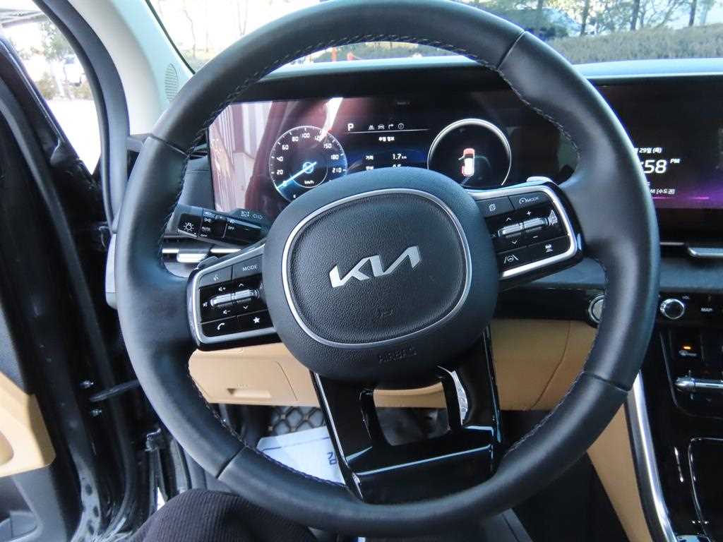 KIA Carnival - Vista 8
