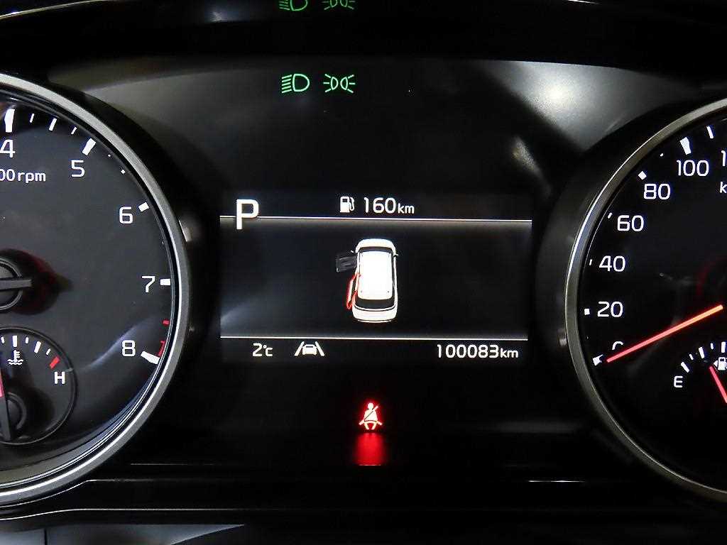 KIA Carnival - Vista 9