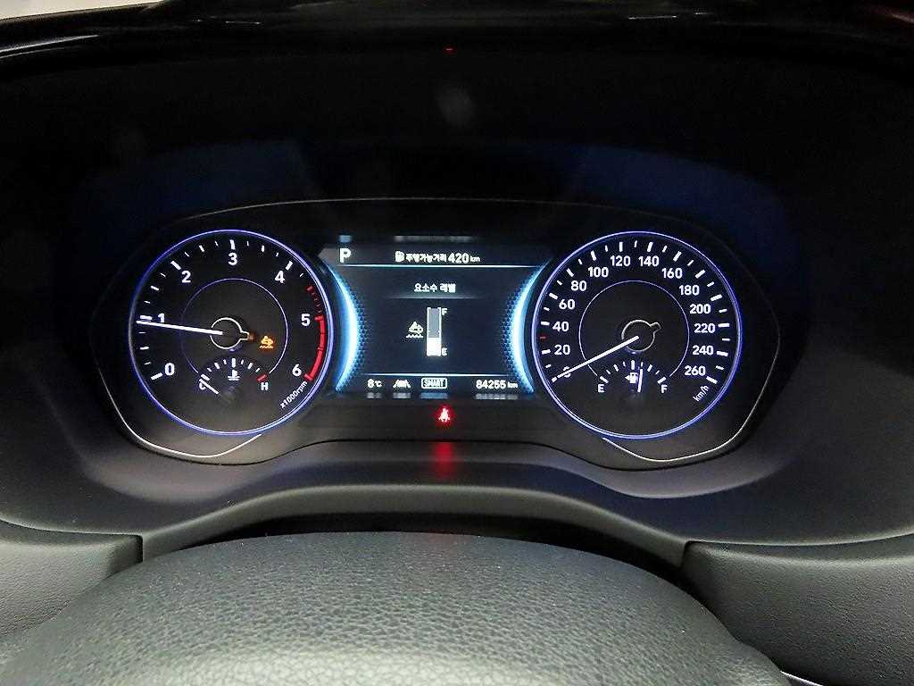 HYUNDAI Palisade - Vista 6