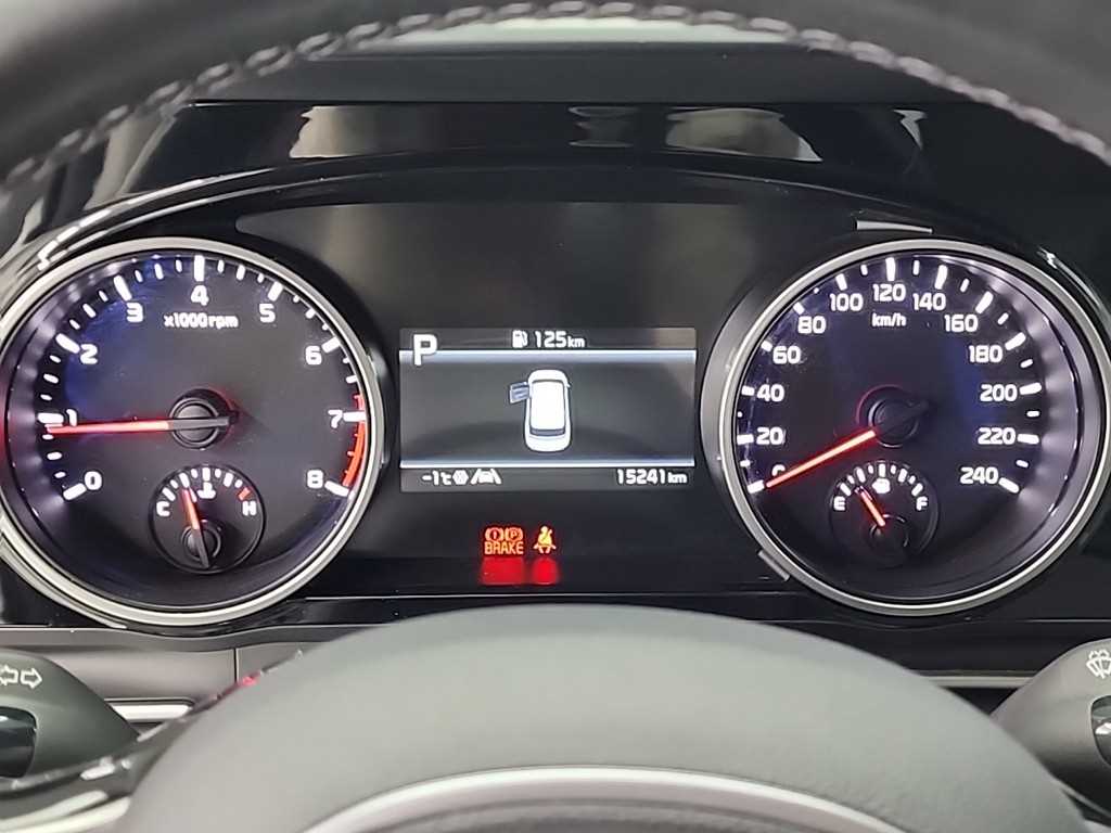 KIA Carnival - Vista 6