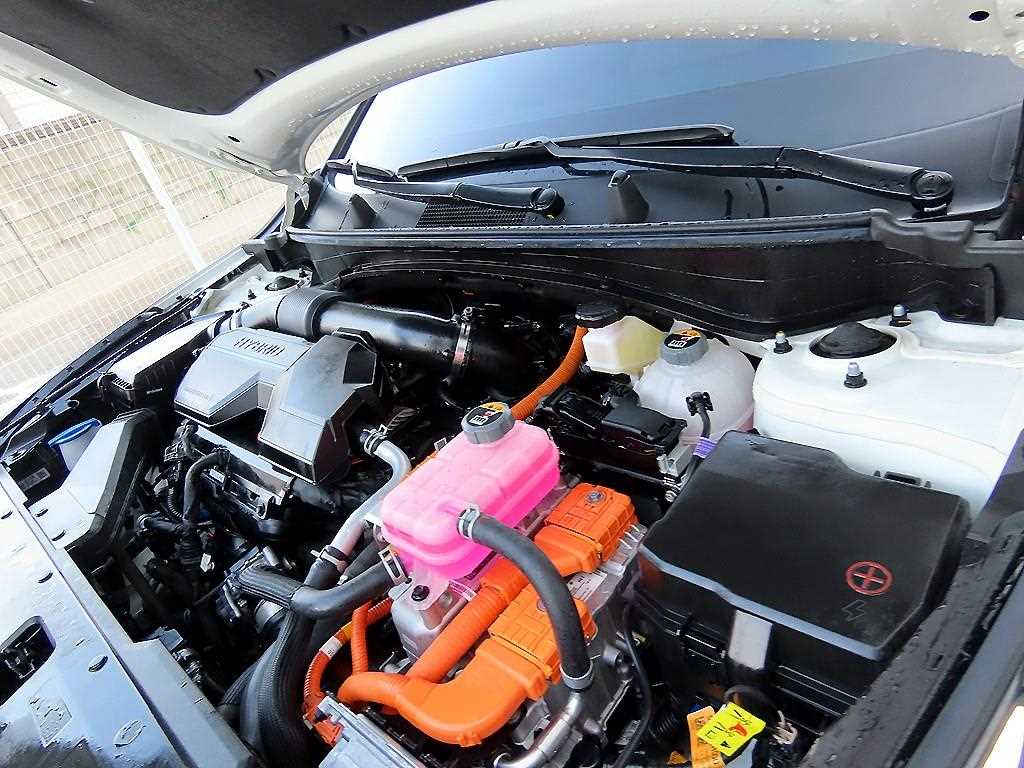 KIA Sportage 2024 Blanco - Importación desde Corea - HF Imports Iquique - Foto 19